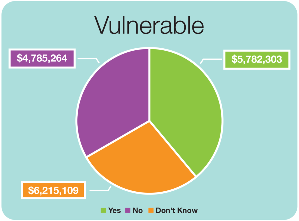 Example chart - vulnerable customers - MirrorWave