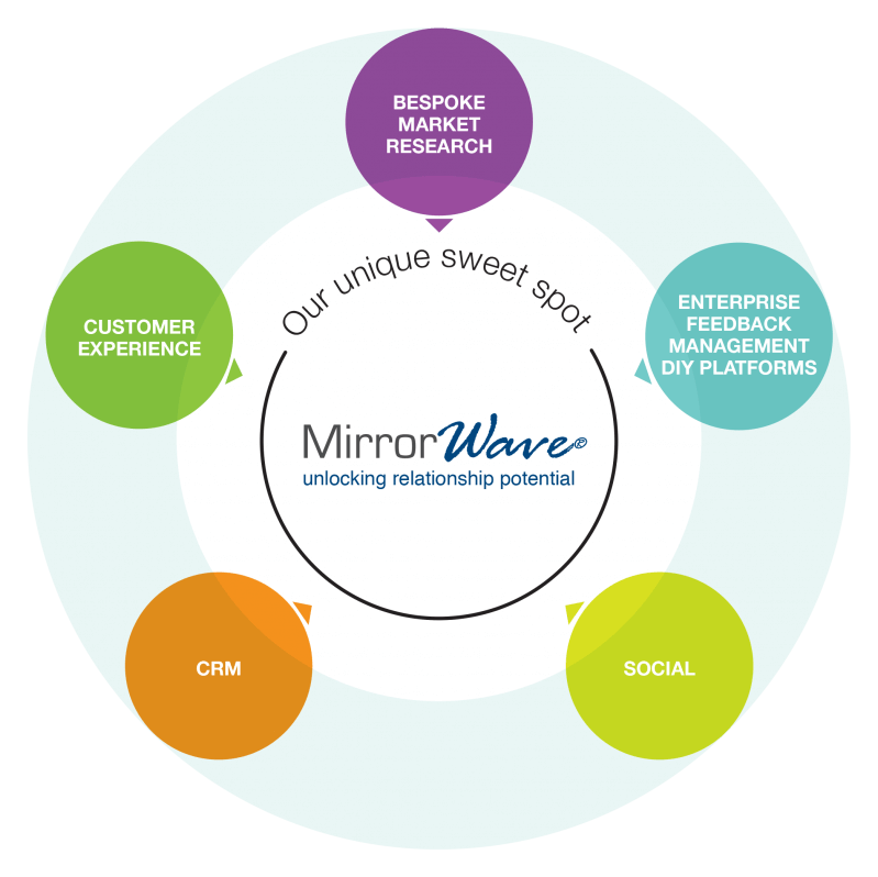 Where does MirrorWave fit?