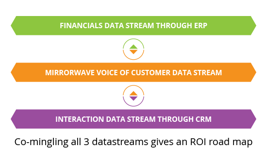 Integration and Alignment - ERP CRM & VOC - MirrorWave